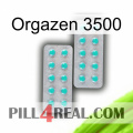 Orgazen 3500 29